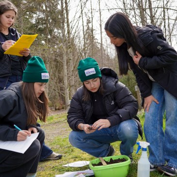 Four students work on the soils exam.
